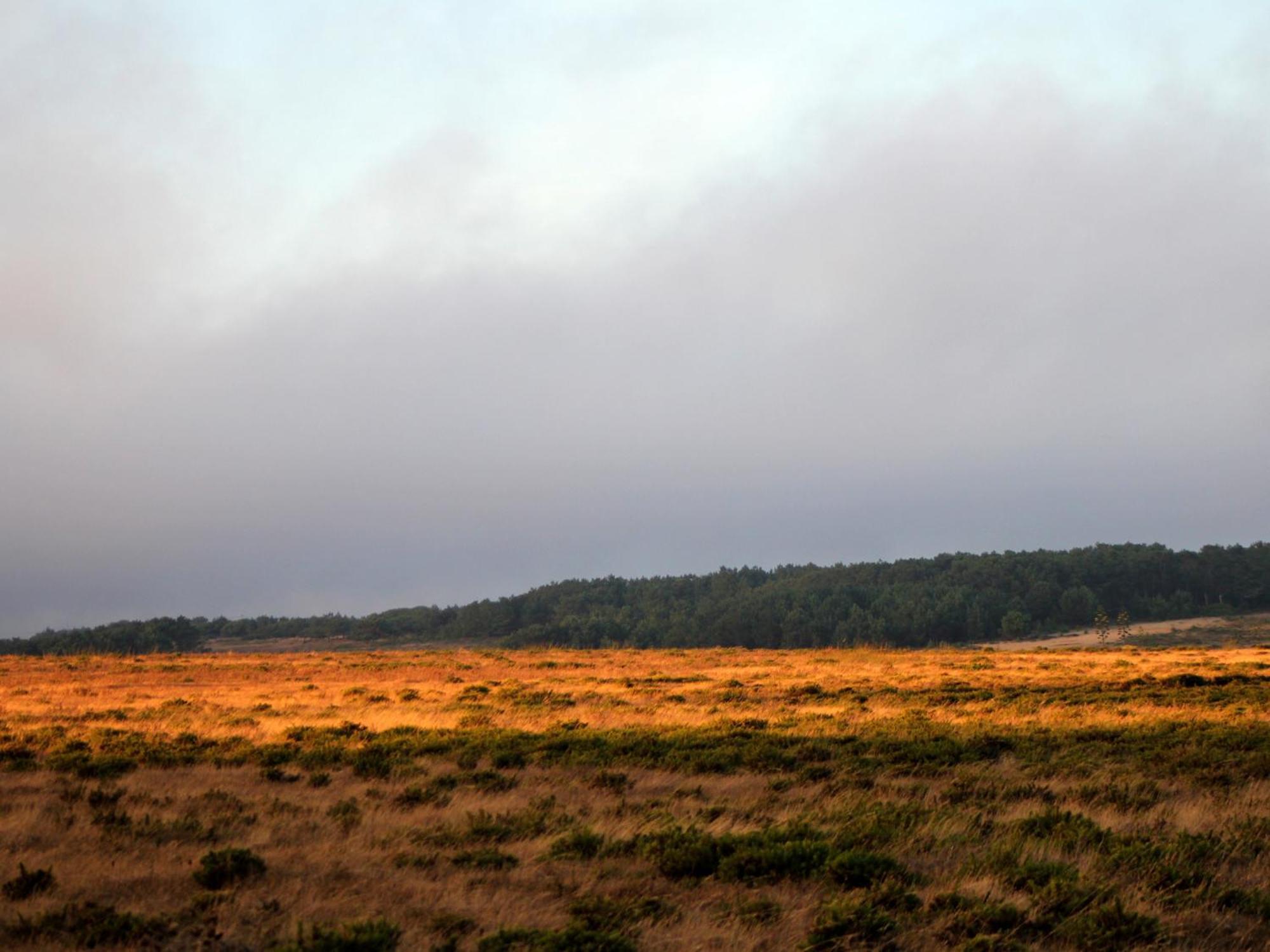 Monte De Santo Antonio - Turismo Rural Vila do Bispo Bagian luar foto