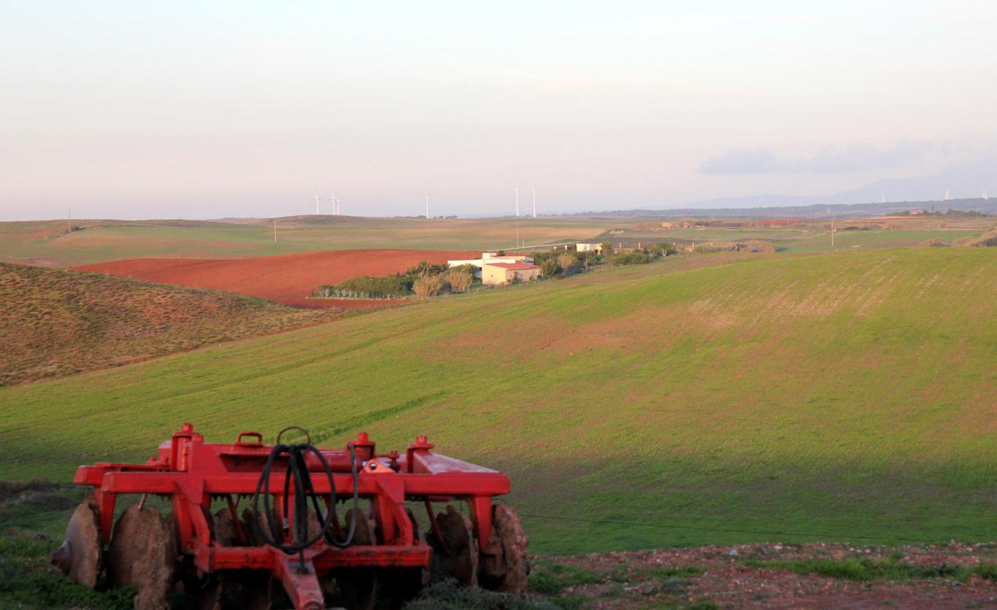 Monte De Santo Antonio - Turismo Rural Vila do Bispo Ruang foto